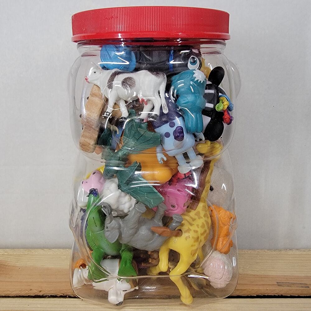 Medium Mystery Jug: Animals (2/19/26)